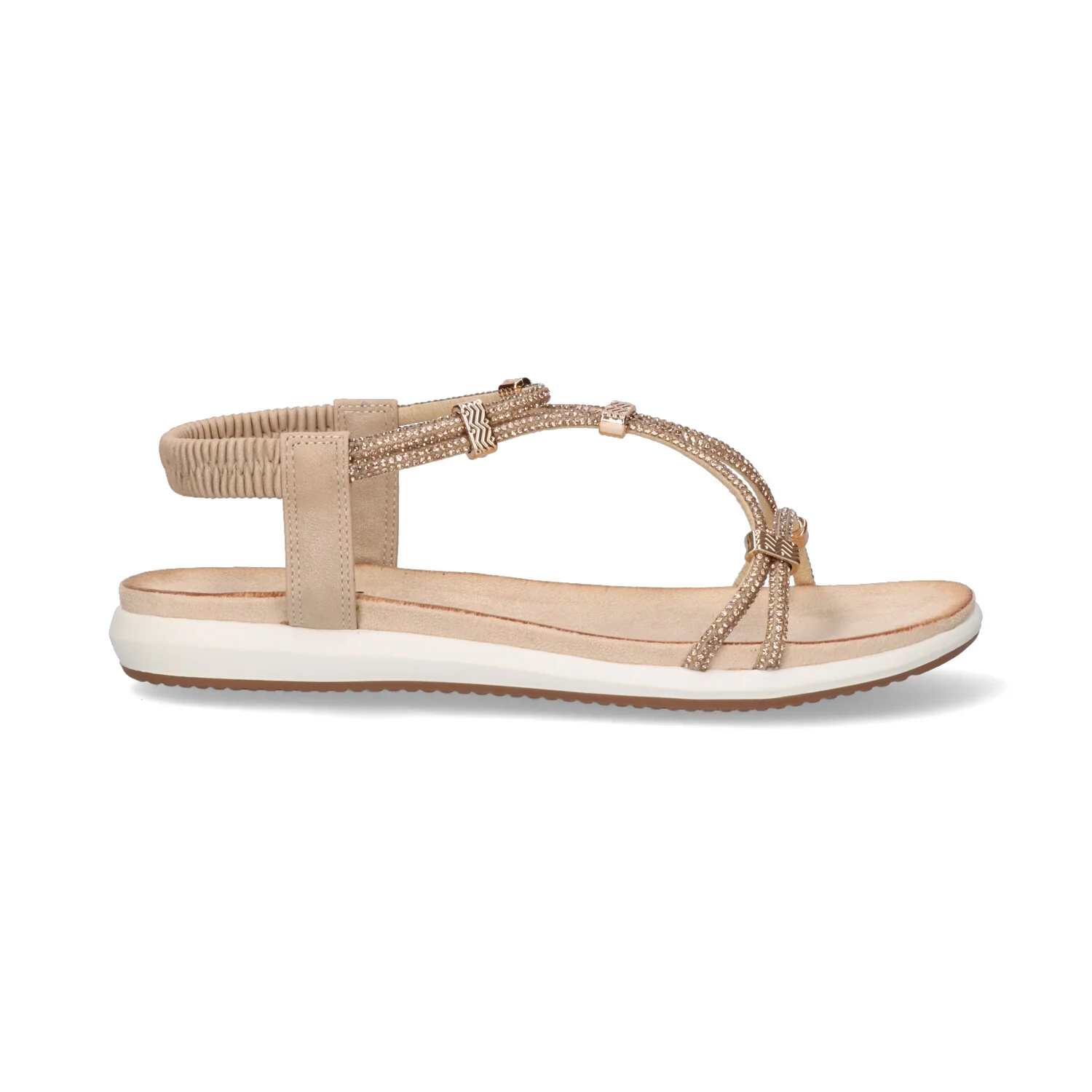 D-BZX63164-RR2 GOLD